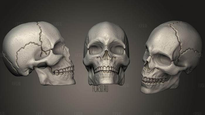 Skull26 stl model for CNC